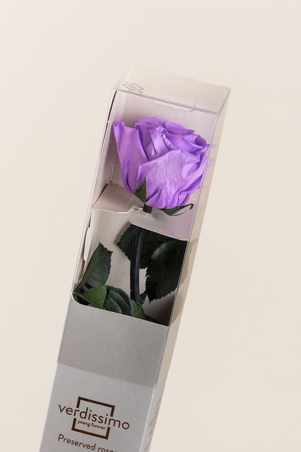 Amorosa Standard-Geschenkbox - Pack 20 u.