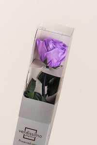 Lilas clair
