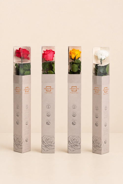 Amorosa Standard-Geschenkbox - Pack 20 u.