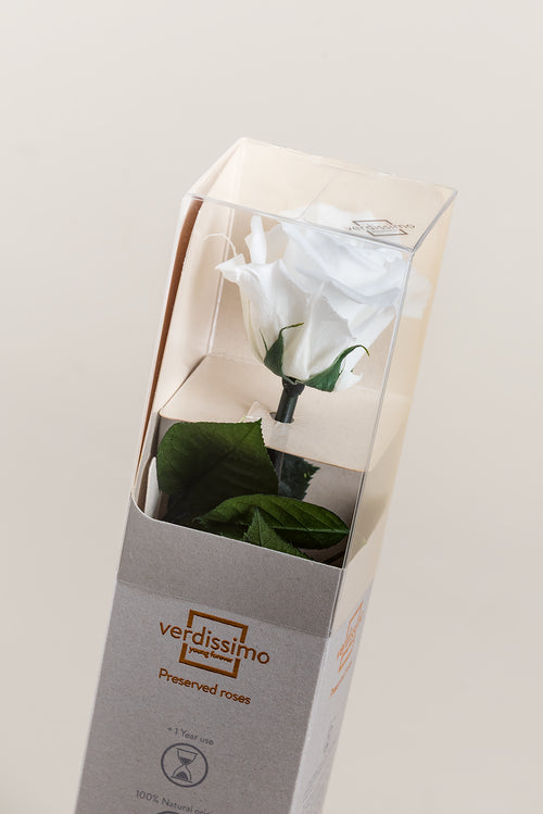 Amorosa Mini-Geschenkbox – Pack 25 u.