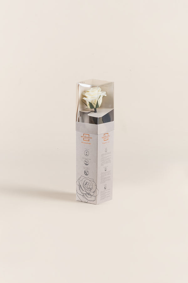 Amorosa Mini Gift Box - Pack 25 u.