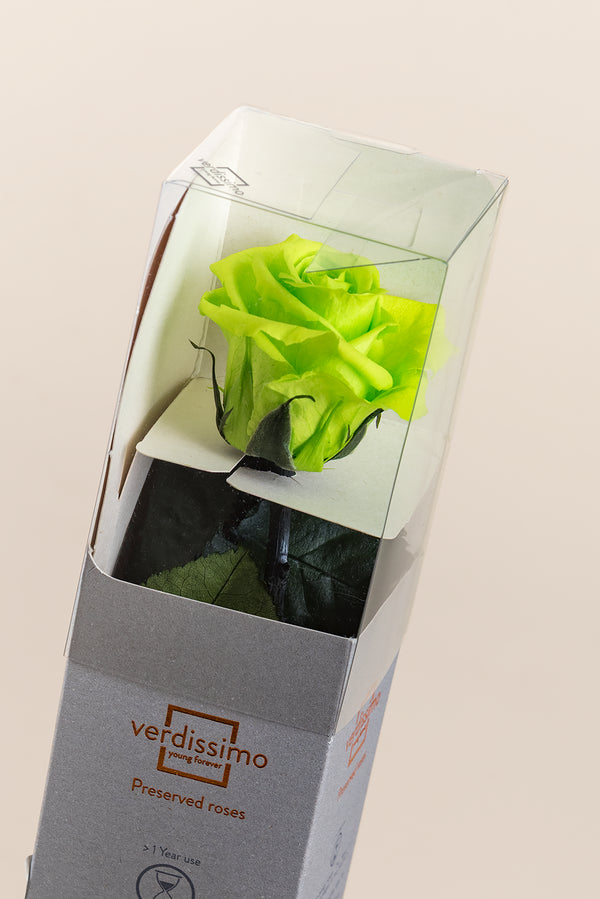 Amorosa Mini Gift Box - Pack 25 u.
