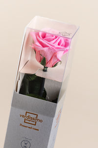 Rose pâle