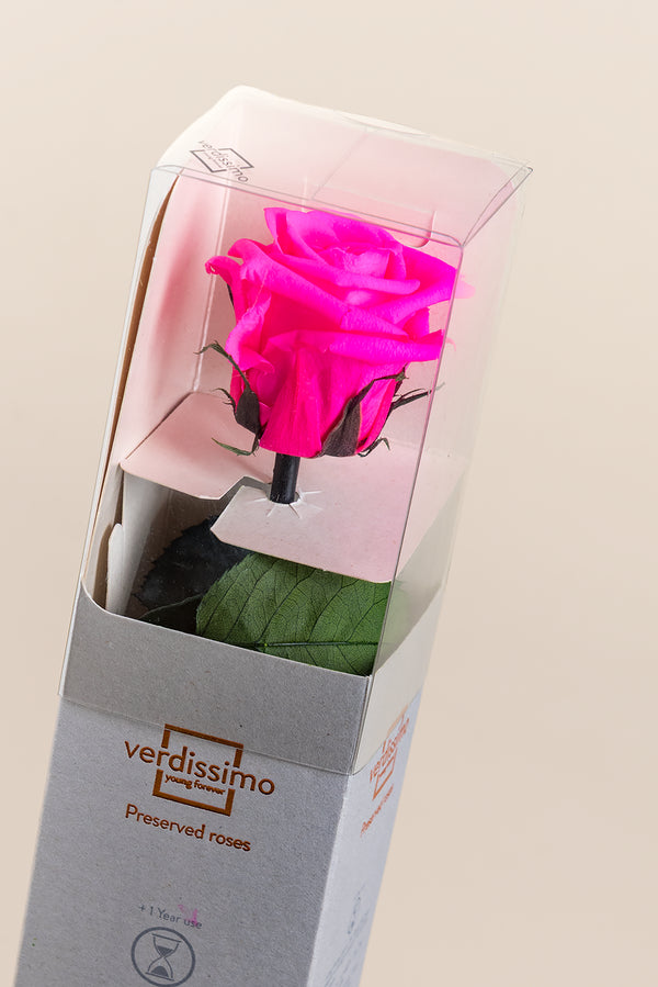 Amorosa Mini Gift Box - Pack 25 u.