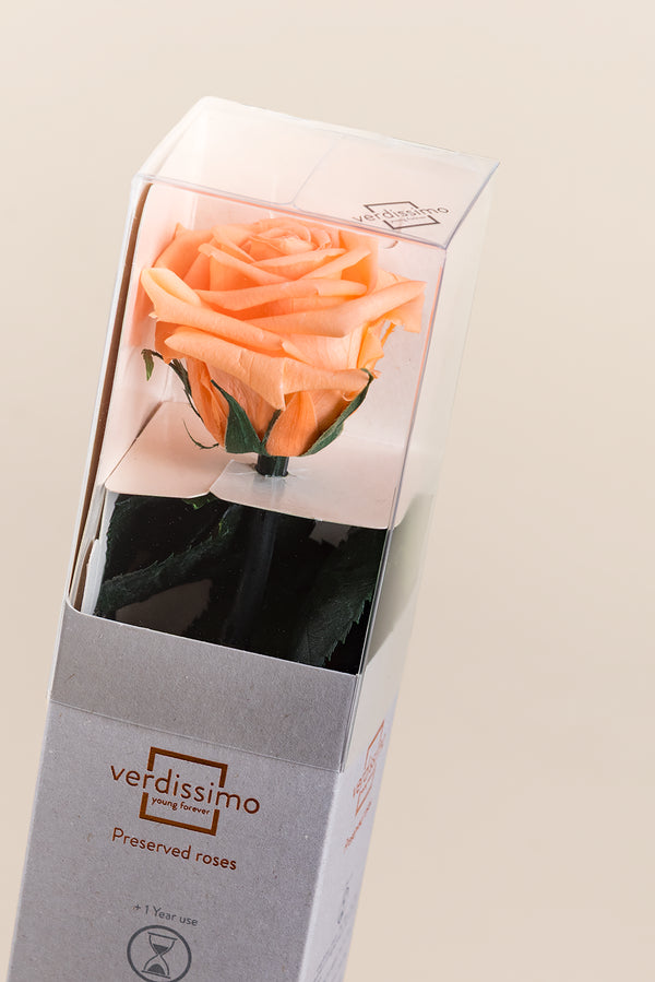 Amorosa Mini Gift Box - Pack 25 u.