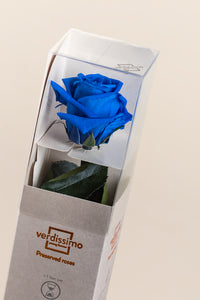 Bleu foncé