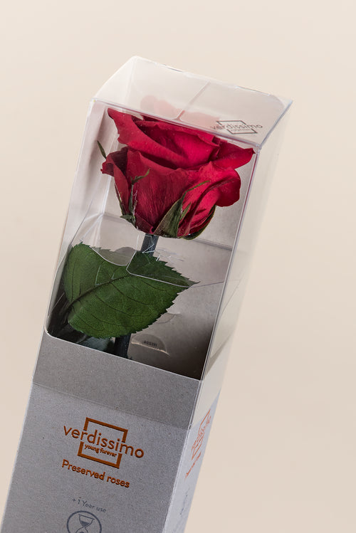 Amorosa Mini Gift Box - Pack 25 u.