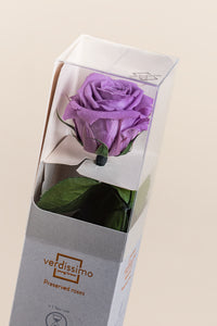 Lilas