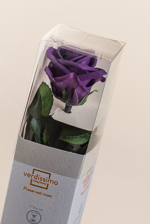 Amorosa Mini Gift Box - Pack 25 u.
