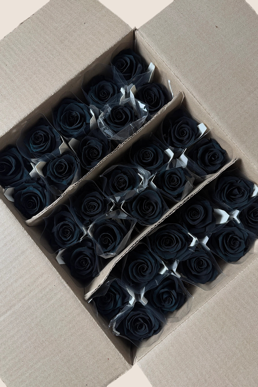 Amorosa Standardgroßpackung – Pack mit 30 Stk.