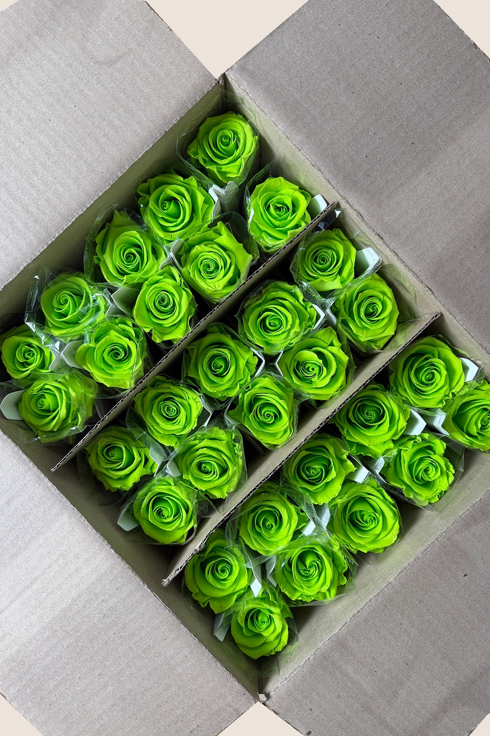 Amorosa Standardgroßpackung – Pack mit 30 Stk.
