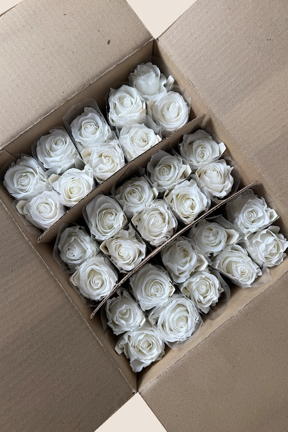 Amorosa Standardgroßpackung – Pack mit 30 Stk.