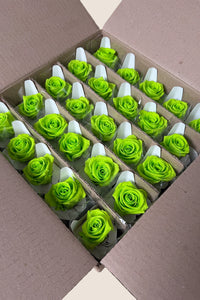 Vert citron