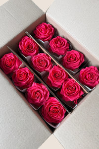 Rose vif