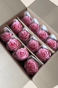 Rose pâle