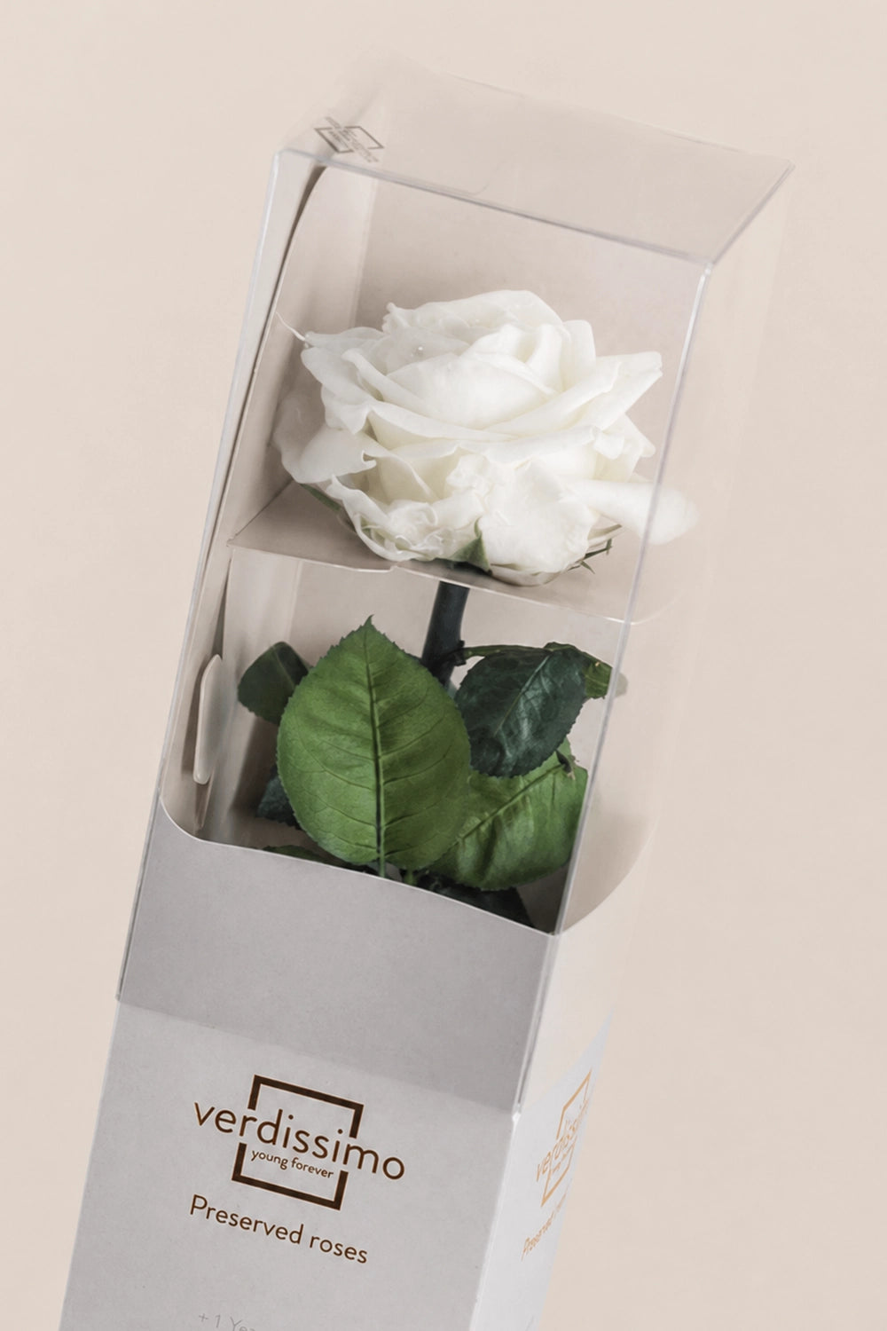 Amorosa Premium-Geschenkbox – Pack mit 12 Stk.