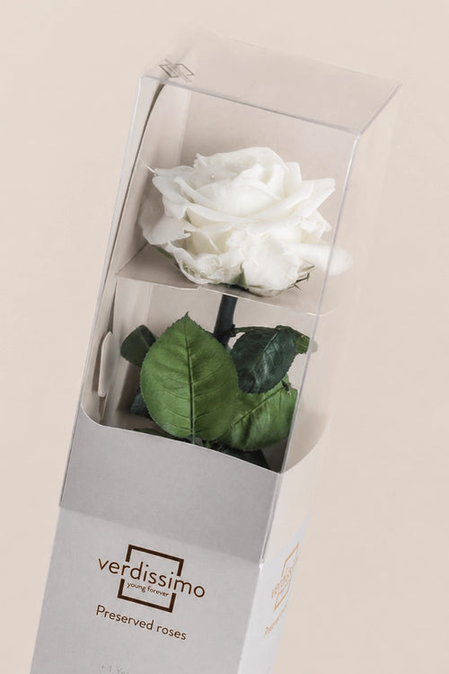 Amorosa Premium-Geschenkbox – Pack mit 12 Stk.