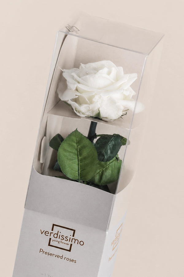 Amorosa Premium Gift Box - Pack 12 u.