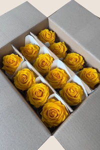 Jaune chaud