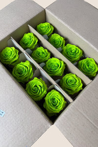 Vert citron