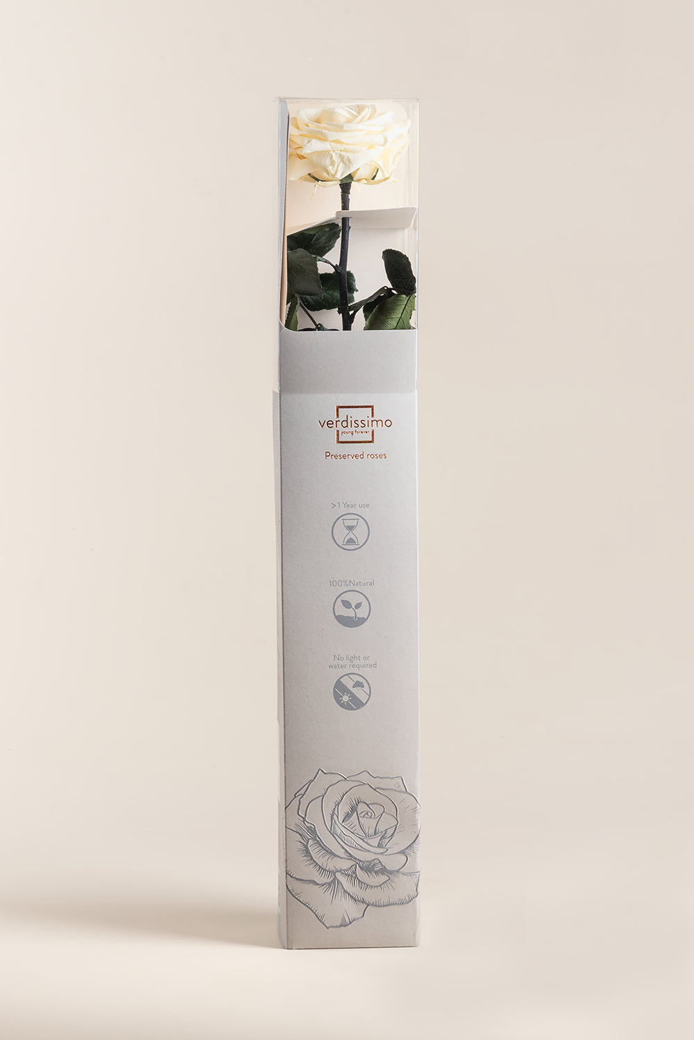 Amorosa Premium-Geschenkbox – Pack mit 12 Stk.