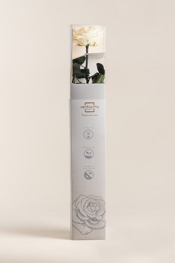 Amorosa Premium Gift Box - Pack 12 u.