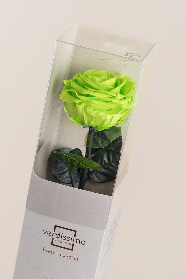 Amorosa Premium Gift Box - Pack 12 u.