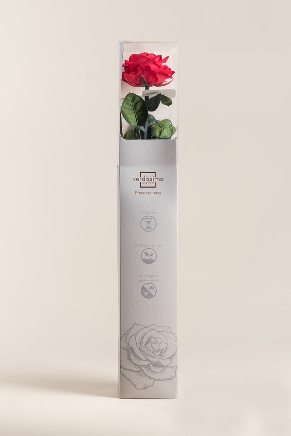 Amorosa Premium Gift Box - Pack 12 u.