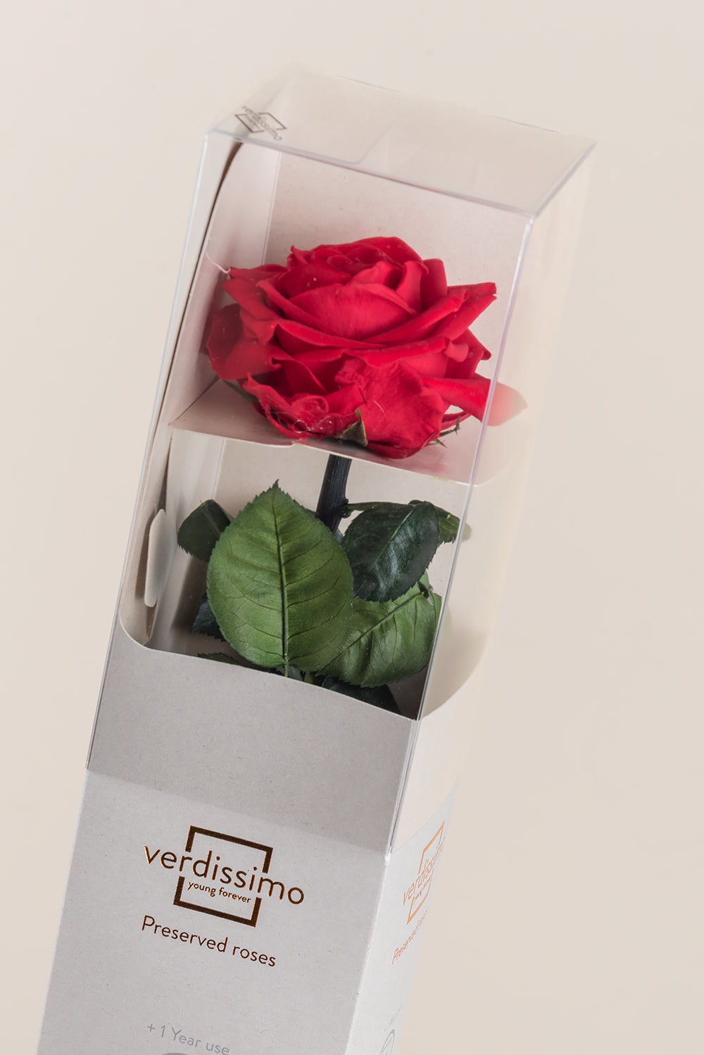 Amorosa Premium-Geschenkbox – Pack mit 12 Stk.