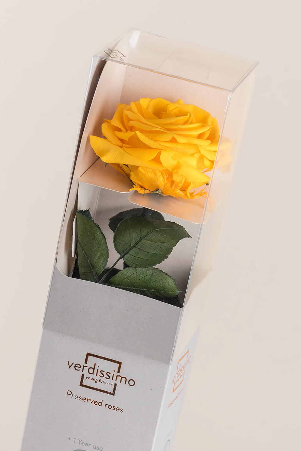 Amorosa Premium-Geschenkbox – Pack mit 12 Stk.