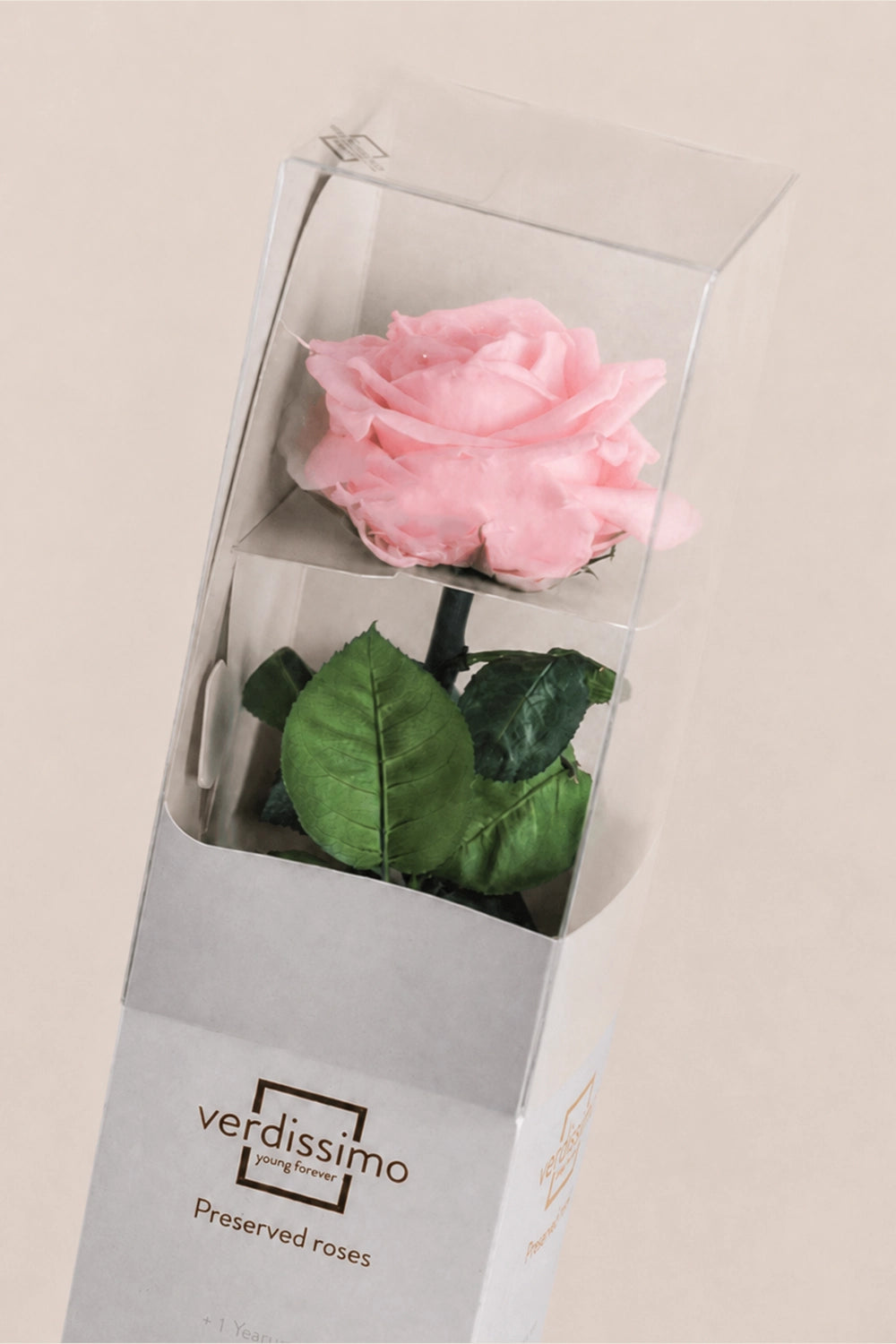 Amorosa Premium-Geschenkbox – Pack mit 12 Stk.