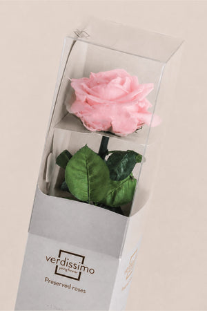 Pastellrosa