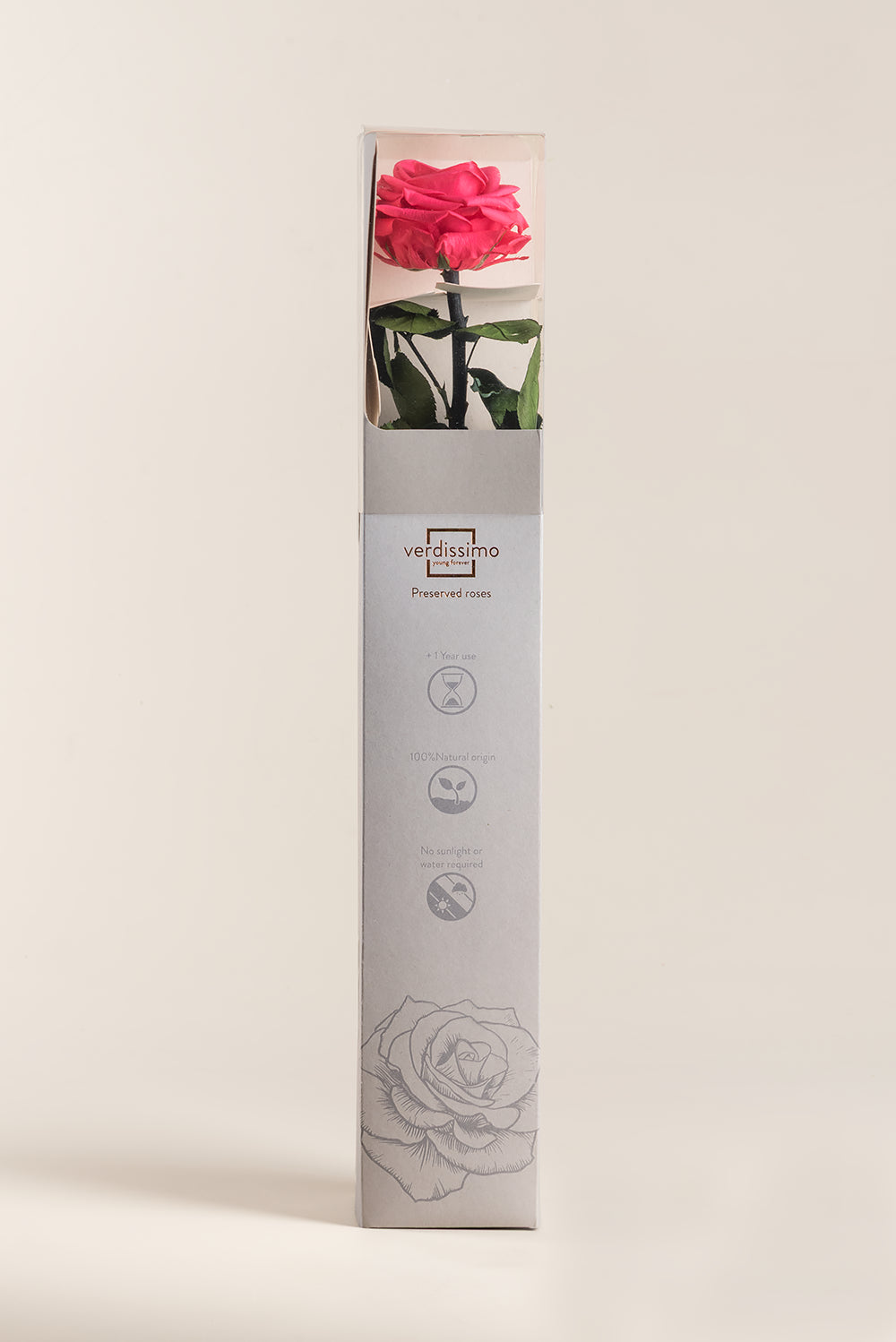 Amorosa Premium-Geschenkbox – Pack mit 12 Stk.