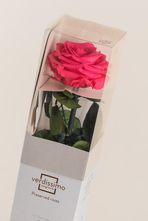 Amorosa Premium Gift Box - Pack 12 u.