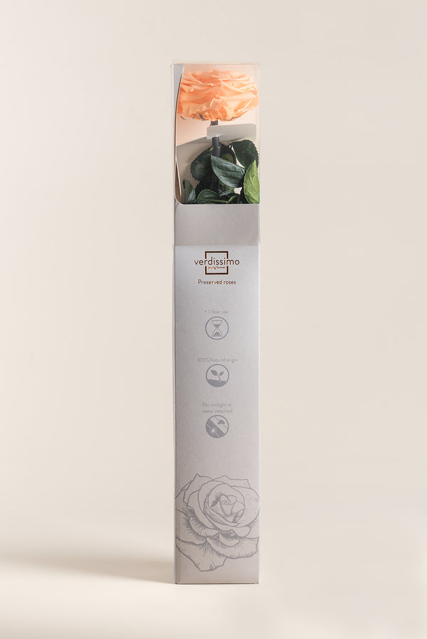 Amorosa Premium Gift Box - Pack 12 u.