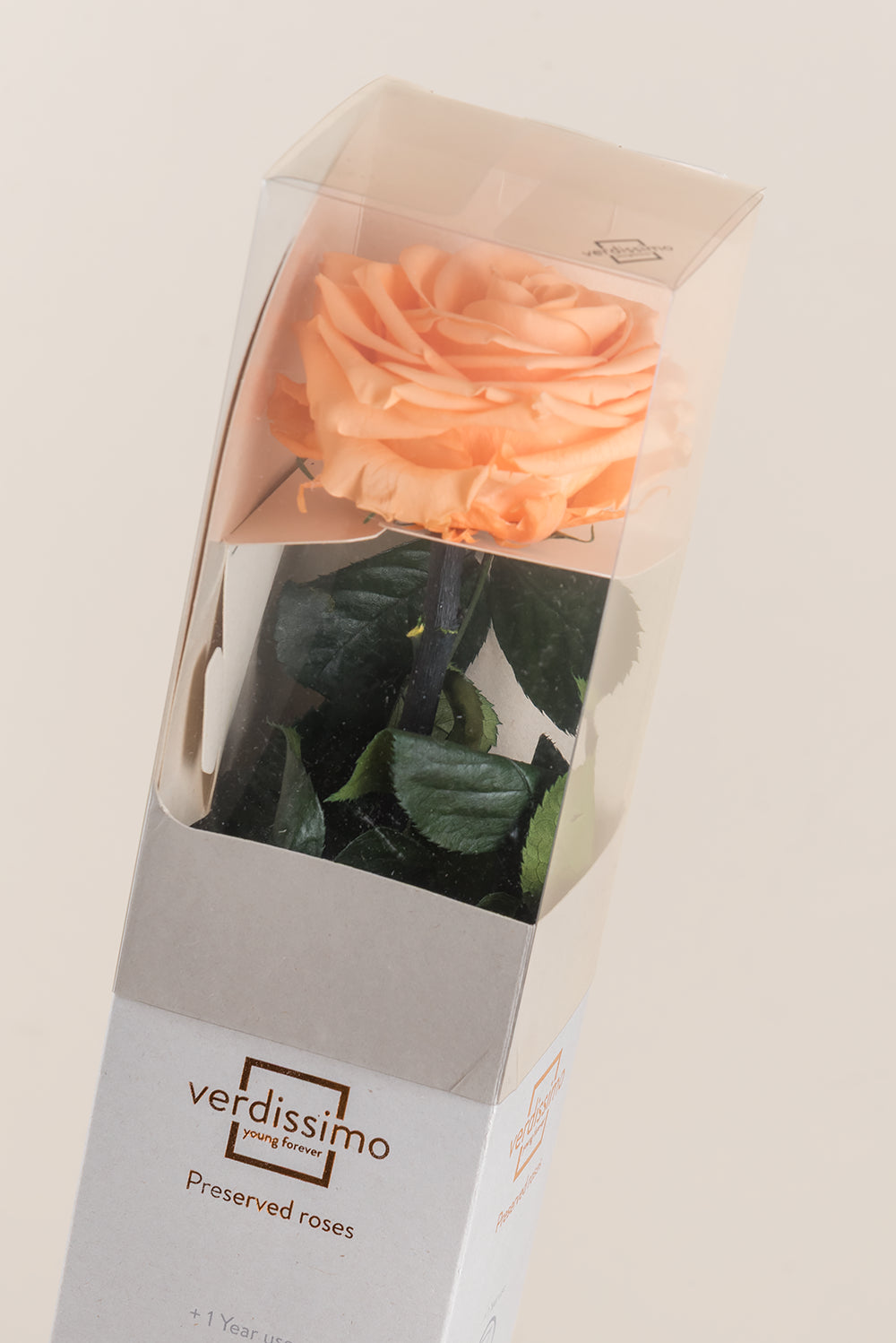 Amorosa Premium-Geschenkbox – Pack mit 12 Stk.