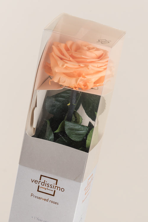 Caja de Regalo Premium Amorosa - Pack 12 uds.