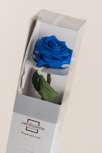Bleu foncé