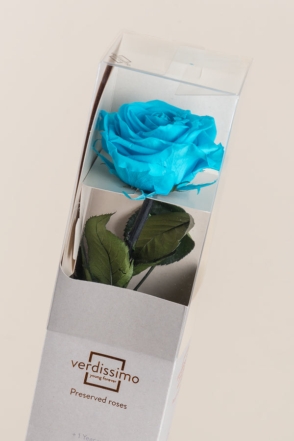 Amorosa Premium Gift Box - Pack 12 u.
