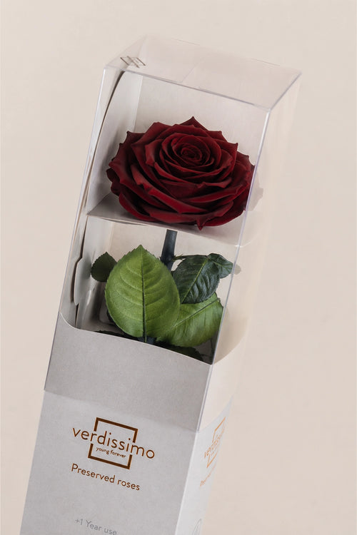 Amorosa Premium Gift Box - Pack 12 u.