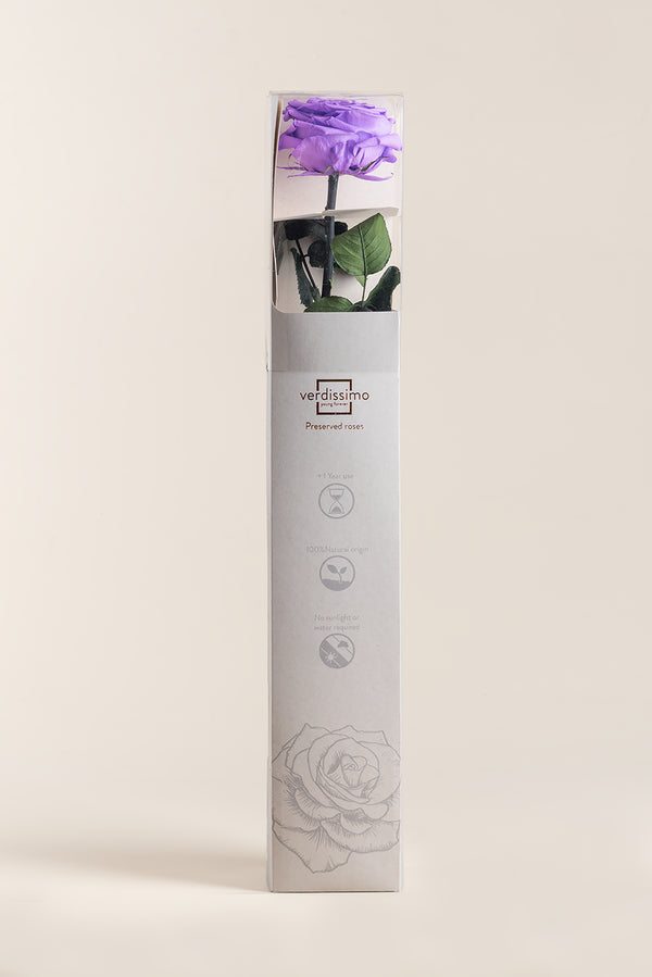Amorosa Premium Gift Box - Pack 12 u.