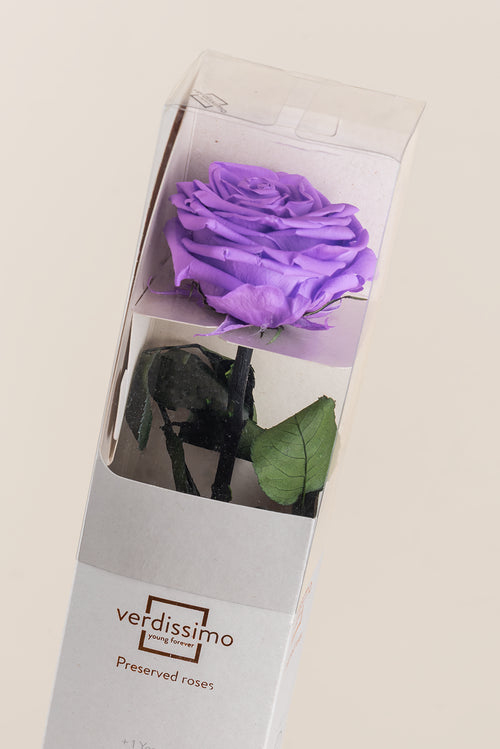Amorosa Premium Gift Box - Pack 12 u.
