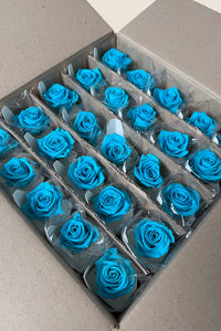 Turquoise vif