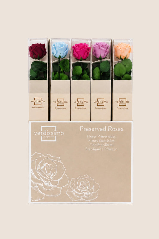 Amorosa Standard Gift Box - Pack 20 u.