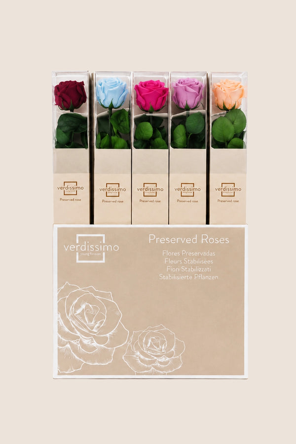 Amorosa Standard Gift Box - Pack 20 u.