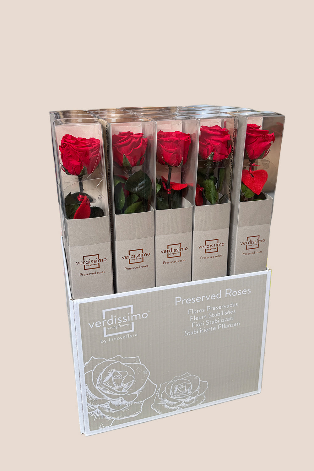Amorosa Boîte Cadeau Standard Rouge - Pack 20 u.