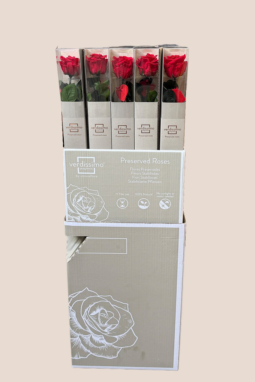 Amorosa Boîte Cadeau Standard Rouge - Pack 20 u.