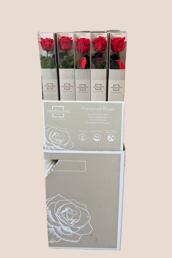 Amorosa Red Stem Heart - Pack 20 u.