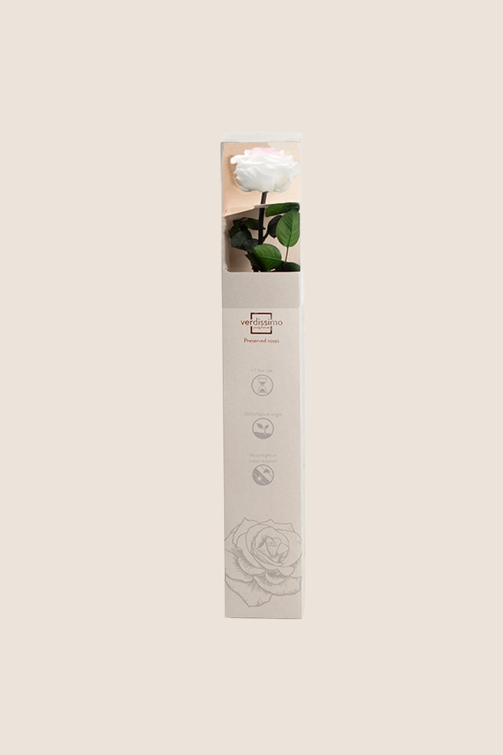 Amorosa Premium-Geschenkbox – Pack mit 12 Stk.