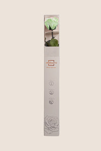 Blanc / Rose pastel / Vert pastel